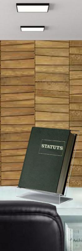 Statuts b