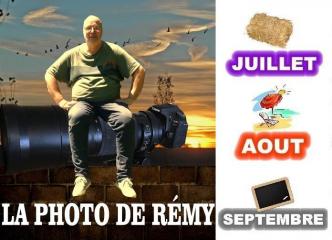 14 remy 3