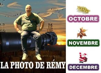 14 remy 4