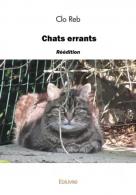 Chats errants2