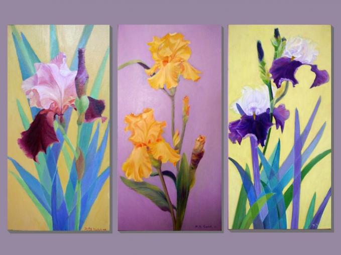 Irisez moi la branche d or iris du jardin montage avec ombres