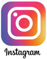 Logo instagram2